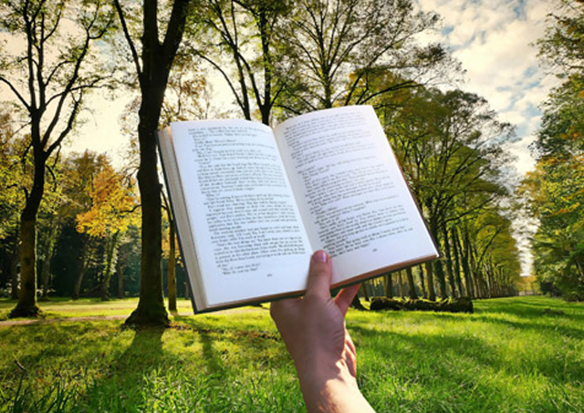 しっかりと身に着けたい経済の知識